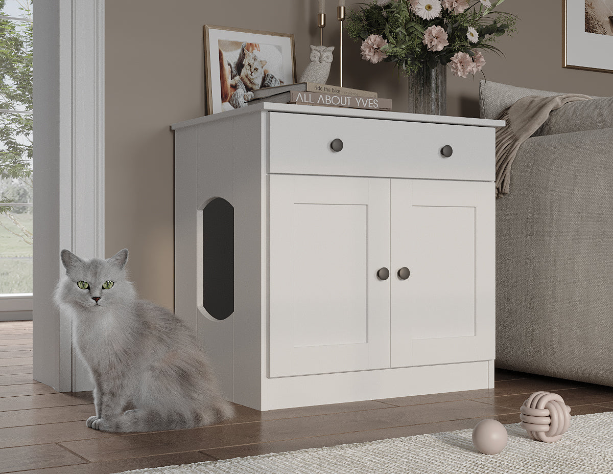 サラキャット b31c32bac90ca17ea188529f368bad